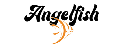 AngelFish ROV Kit with Thrusters and Tether (Rev 3)